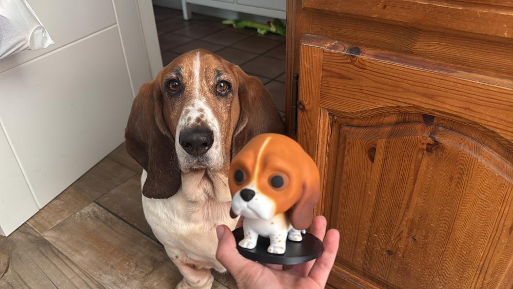 Funko de Colombo